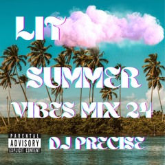 Lit Summer Vibes Mix 24 | Dj Precise