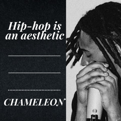 Hip-hop is an aesthetic