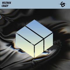 Veltrek - Crazy (Original Mix)