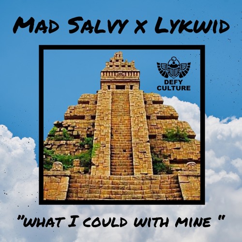 Mad Salvy X Lykwid - What I Could With Mine