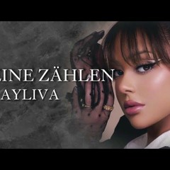 AYLIVA Scheine Zählen HARDtekk