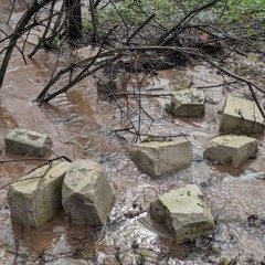 живи (dzidambo prod)