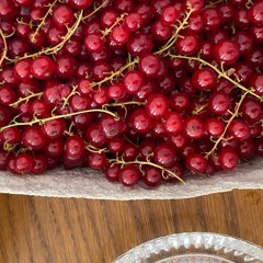 the river and the rose