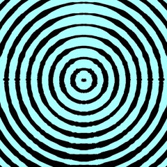 THE BONGOBINGO - DJ B. M. W.