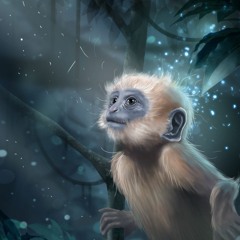 monkeys dream✨✨✨