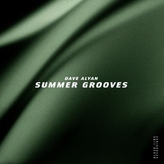 Dave Alyan - Summer Grooves