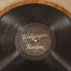 I Love You So (Wellyington Remix)