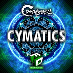 DTL ContrAversY - Cymatics - Out Now on Faction Digital Recordings FDR