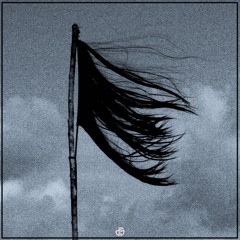 UNSECRET - Revolution feat. Ruelle (Daniel Salaghi Edit)