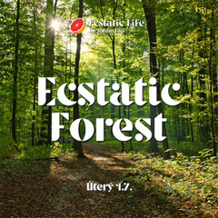 Ecstatic Forest @ Nature | 1. 7. 2025