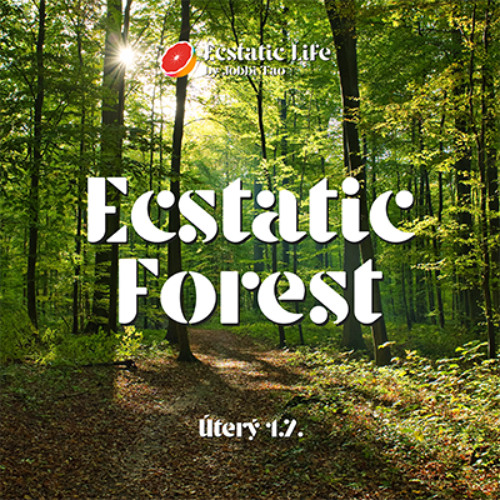 Ecstatic Forest @ Nature | 1. 7. 2025