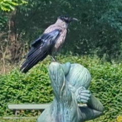 Crunchman and Bobbins