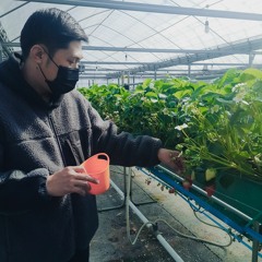 To My Knees (Hillsong Young & Free)