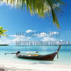 meditation in the ocean(바닷가에서 명상하기), ASMR