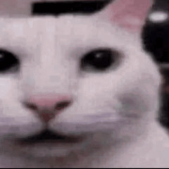 "idk"