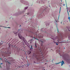 Soulone Beats - Sunday