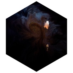 DÄME | FERALDA CRANE NSDM | JUL20