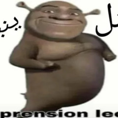 Best Bullet Hell Cover