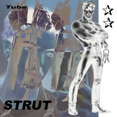 ·͙*̩̩͙˚̩̥̩̥*̩̩̥͙✩STRUT ·͙*̩̩͙˚̩̥̩̥*̩̩̥͙✩