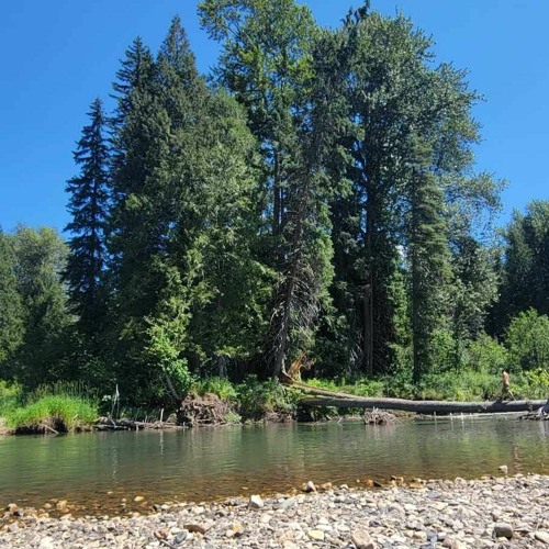 Lazy By The River