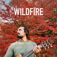 Wildfire