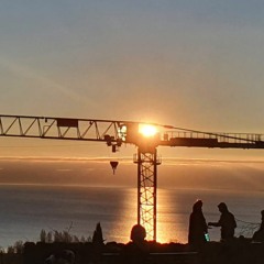 Free from my 2020 self_Groovaloo