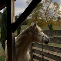 حرٌ ومذهبُ كلُّ حر مذهبي-إيليا أبو ماضي