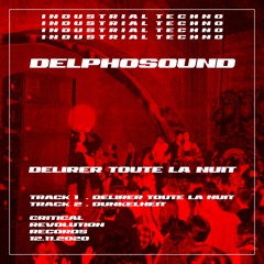Delphosound -  Délirer Toute La Nuit [CRIEP06]