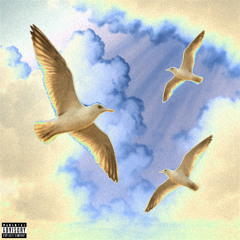 Birds (prod. prodbyscrt)