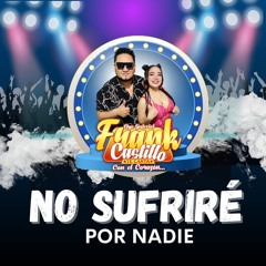 No Sufriré Por Nadie - Frank Castillo