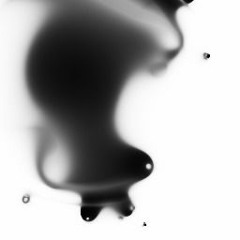 III｡༅:*･ﾟﾟ･⭑