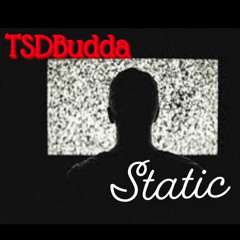 TSD Budda - Static