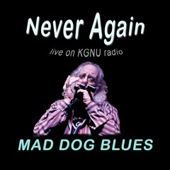Never Again - Mad Dog Blues LIVE on KGNU
