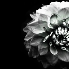 [Premiere] Cyberlife - Last Straight Line (out on Paerer Records)