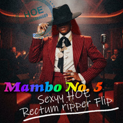 Mambo No. 5 [Sexyy HOE Rectum ripper Flip]
