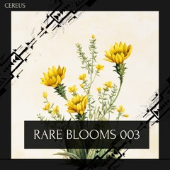 Cereus - Rare Blooms 003