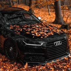 Audi RS6😌