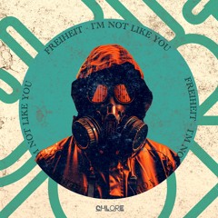 I'm Not Like You (Original Mix)