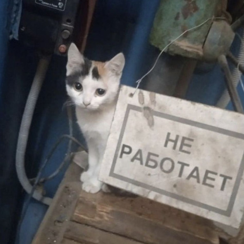 -------------