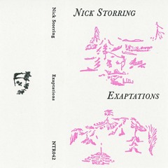 NTR042 - Nick Storring - Exaptations "Field Lines"