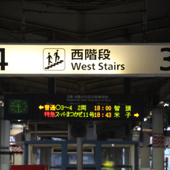 DESIRE TOTTORI