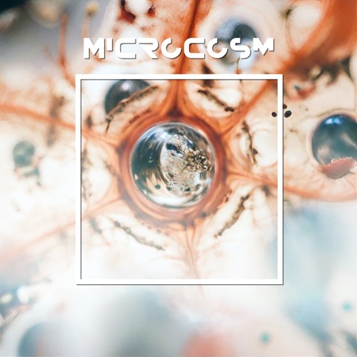 Microcosm - Maru 0(Original Mix)