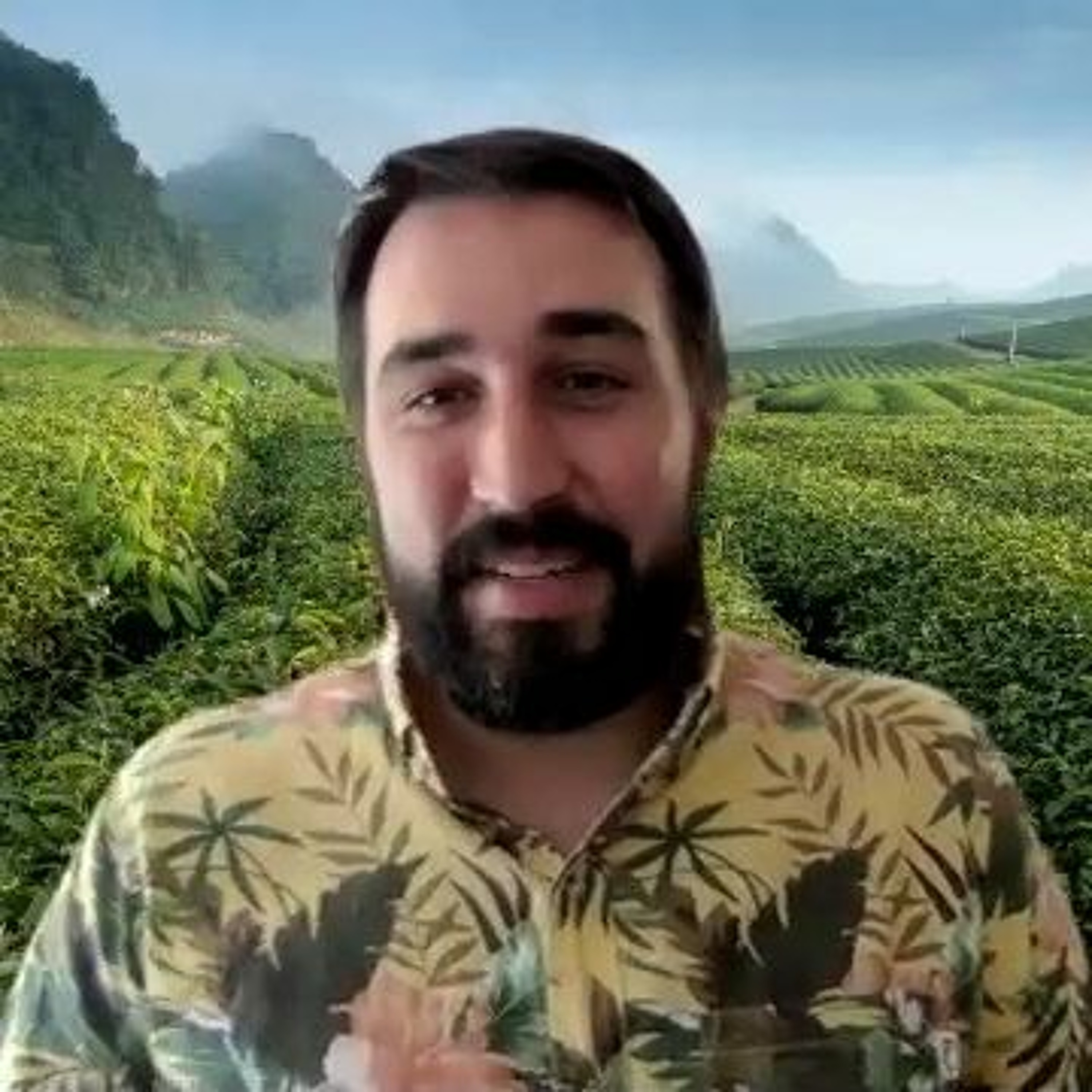Dilmah Tea