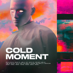 Swendl - Cold Moment