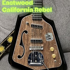 The EASTWOOD (from the bandcamp half life series)