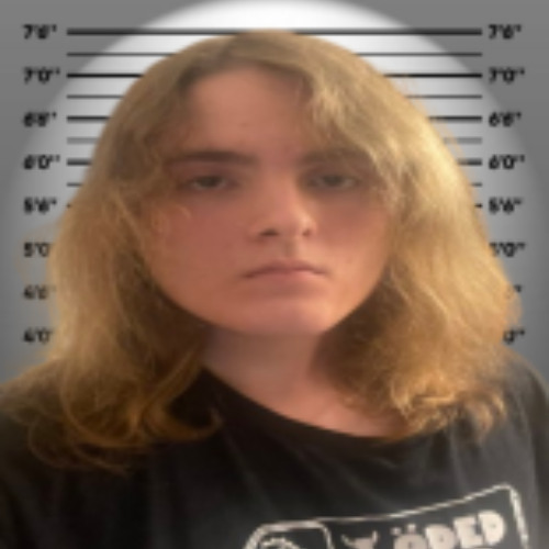 ||MEET YOUR MINGO jaxxmix||