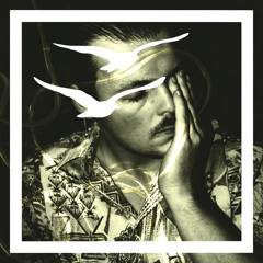 Za nimi (Ptaki Remix)