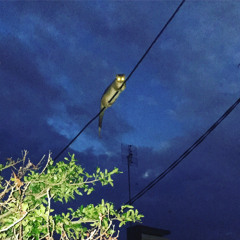 A Clone Of William Shatner (demo)