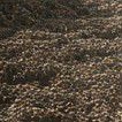 Trop vrai - Noh4ine.mp3