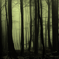 Dark Forest (prod. arqie)